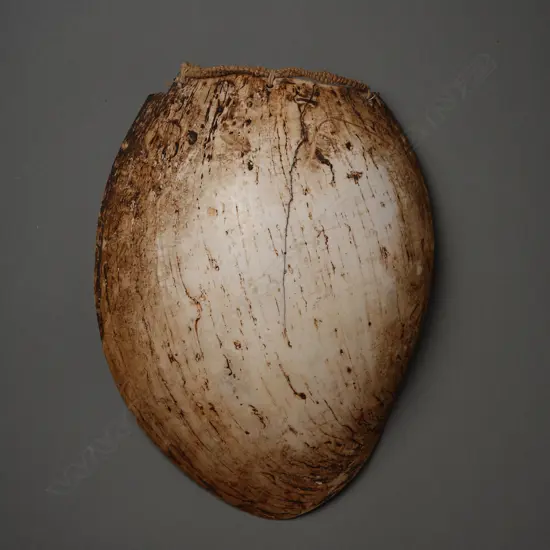 Papua New Guinea shell/fibre breastplate,